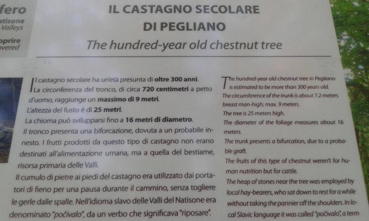 Casa Del Castagno Villa Pulfero Buitenkant foto